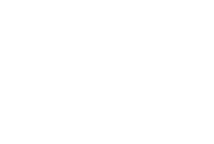 Homeland Electric